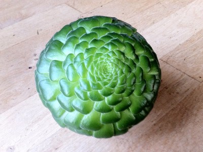 Aeonium tabuliforme - medium image 4