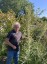 Eryngium paniculatum - small image 1