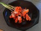 Iris foetidissima AGM - small image 1