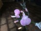Salvia 'Blind Faith' - small image 1