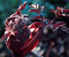 Angelica sylvestris 'Ebony' - small image 2