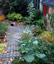 Nicotiana knightiana - small image 4